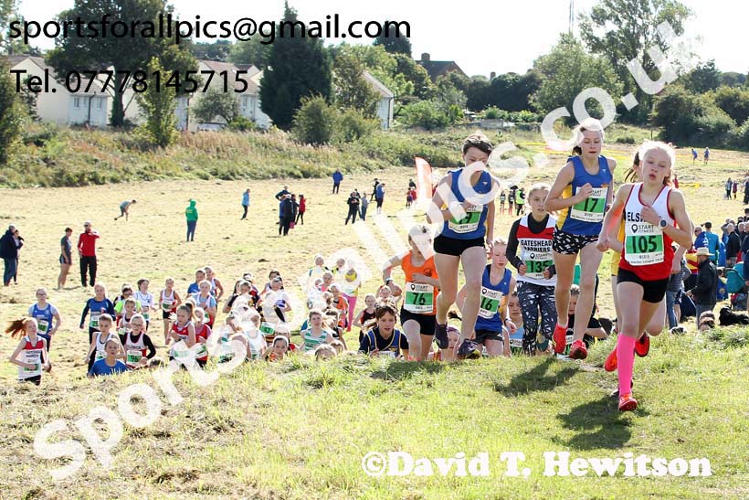 Girls under-13s 2019 Start Fitness Harrier league, Wrekenton, Gateshead. Photo: David T. Hewitson/Sports for All Pics